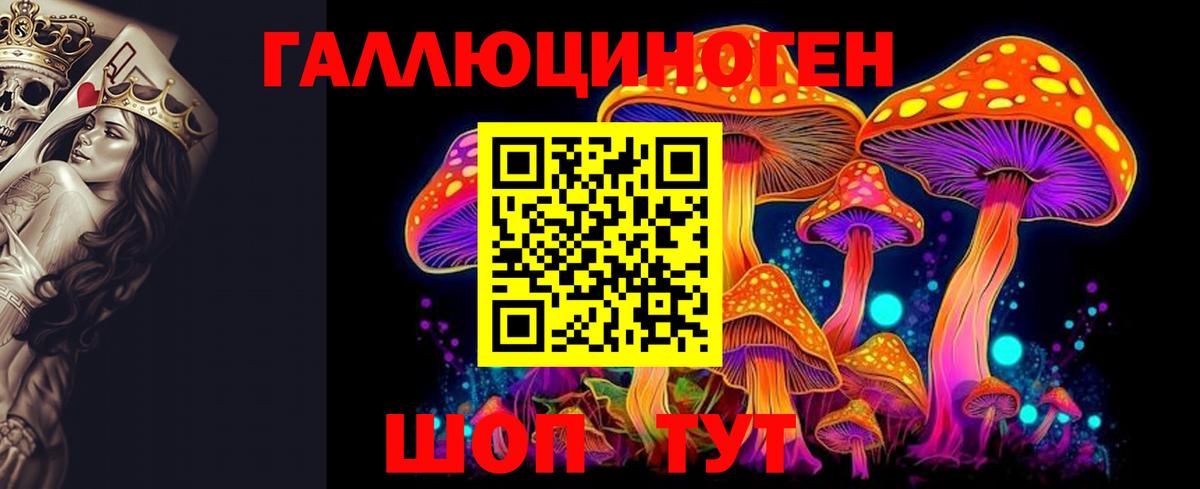 Красногорск  Галлюциногенные грибы GOLDEN TEACHER  Вход с VPN 